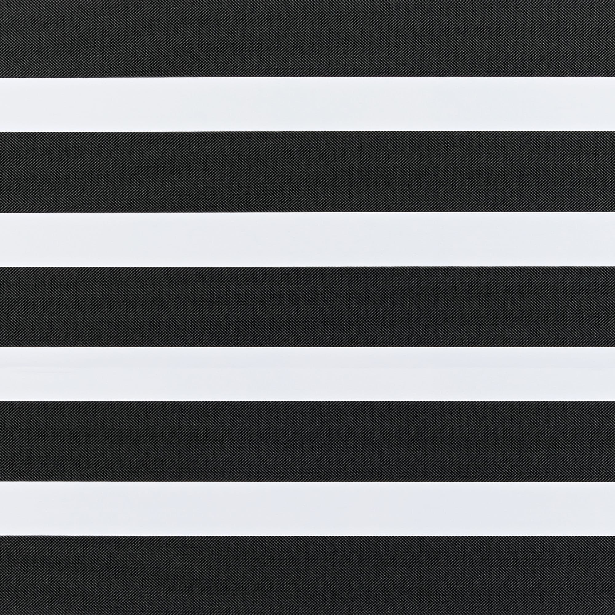 Eve Black Day and Night Blind