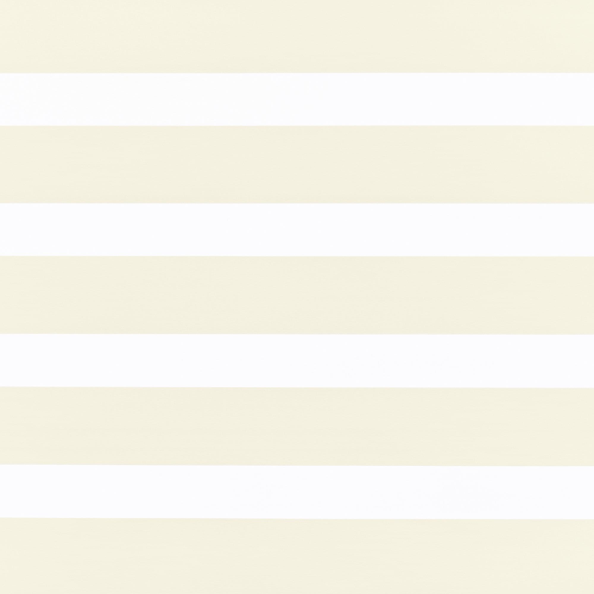 Eve Ivory Day and Night Blind