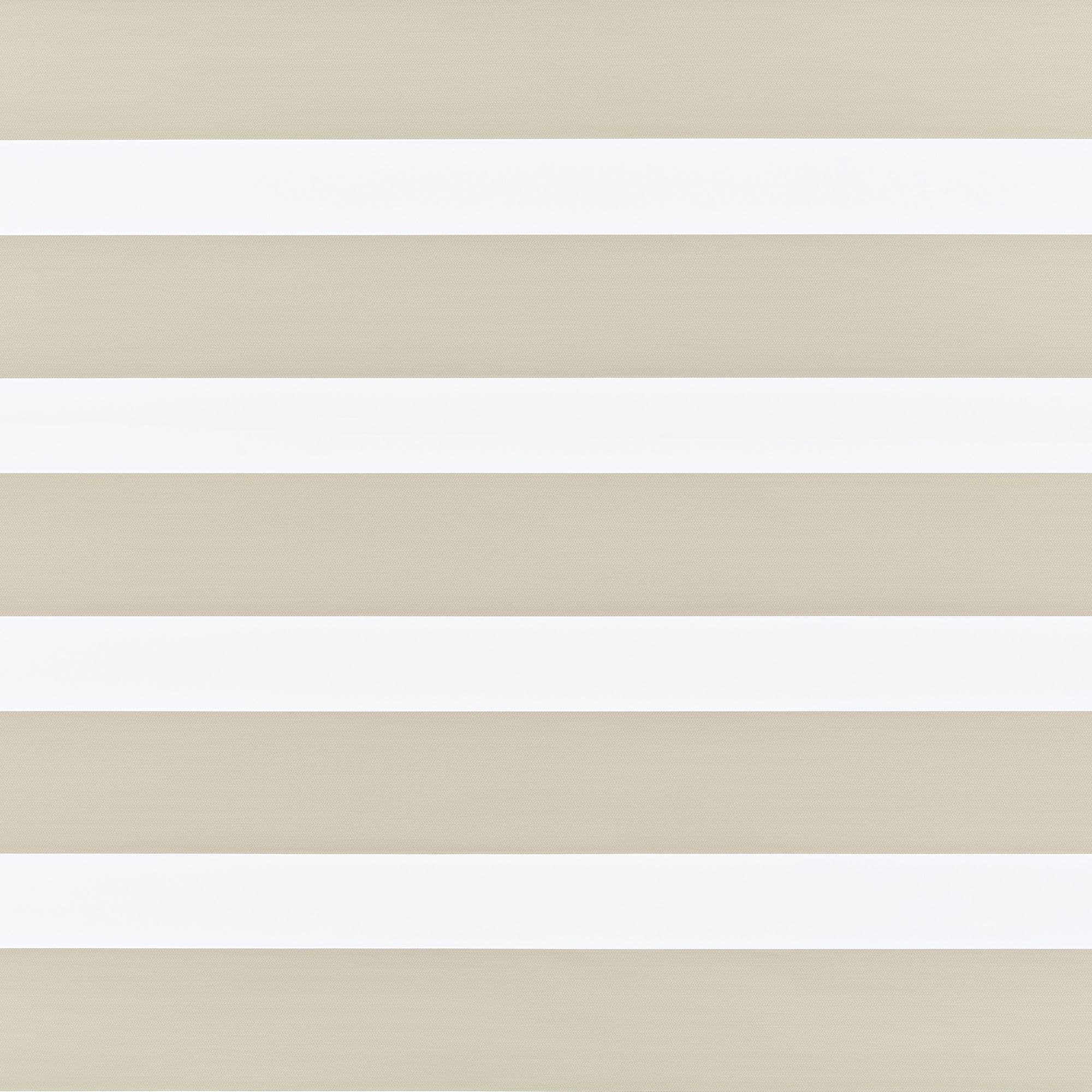 Eve Nautral Day and Night Blind