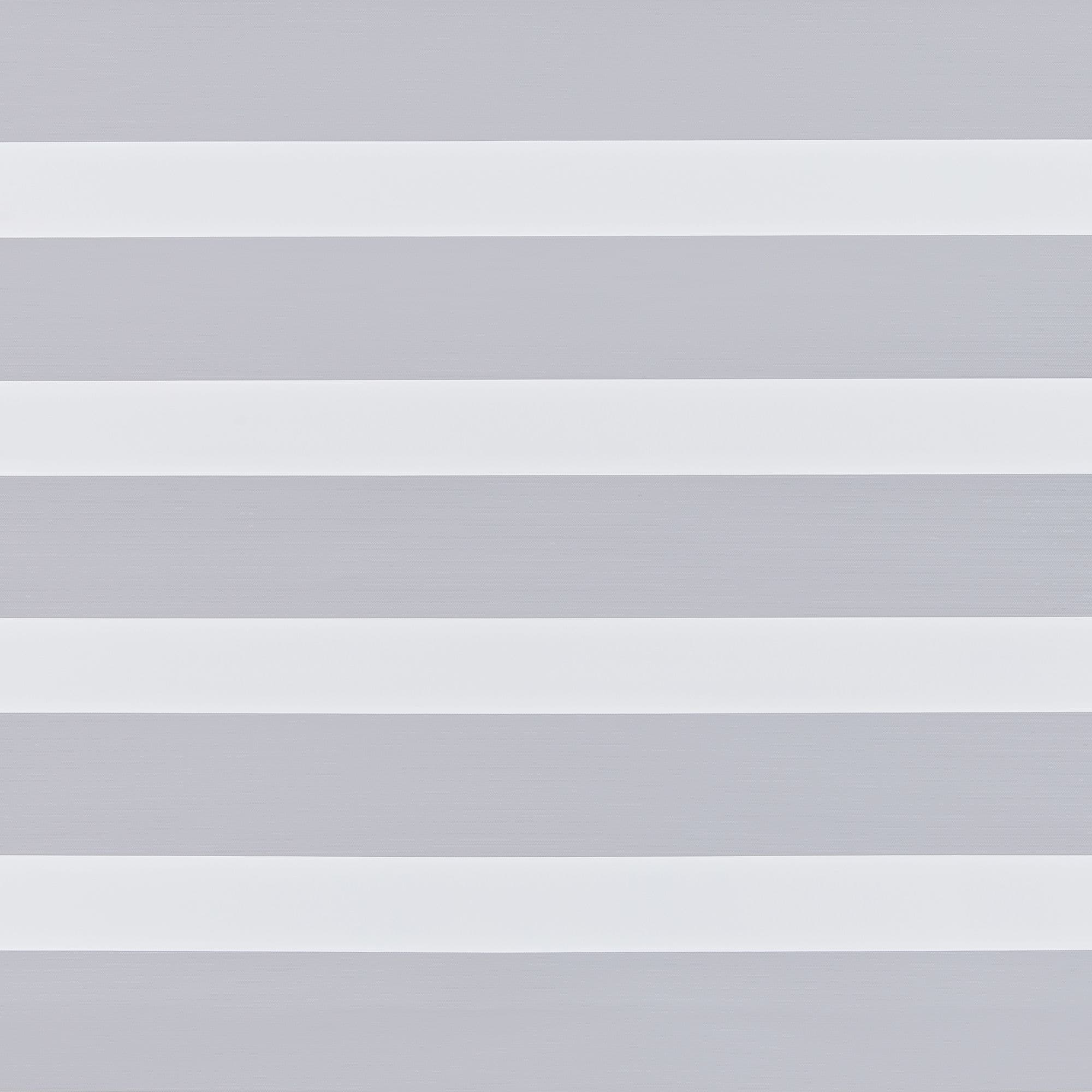 Eve Light Grey Day and Night Blind