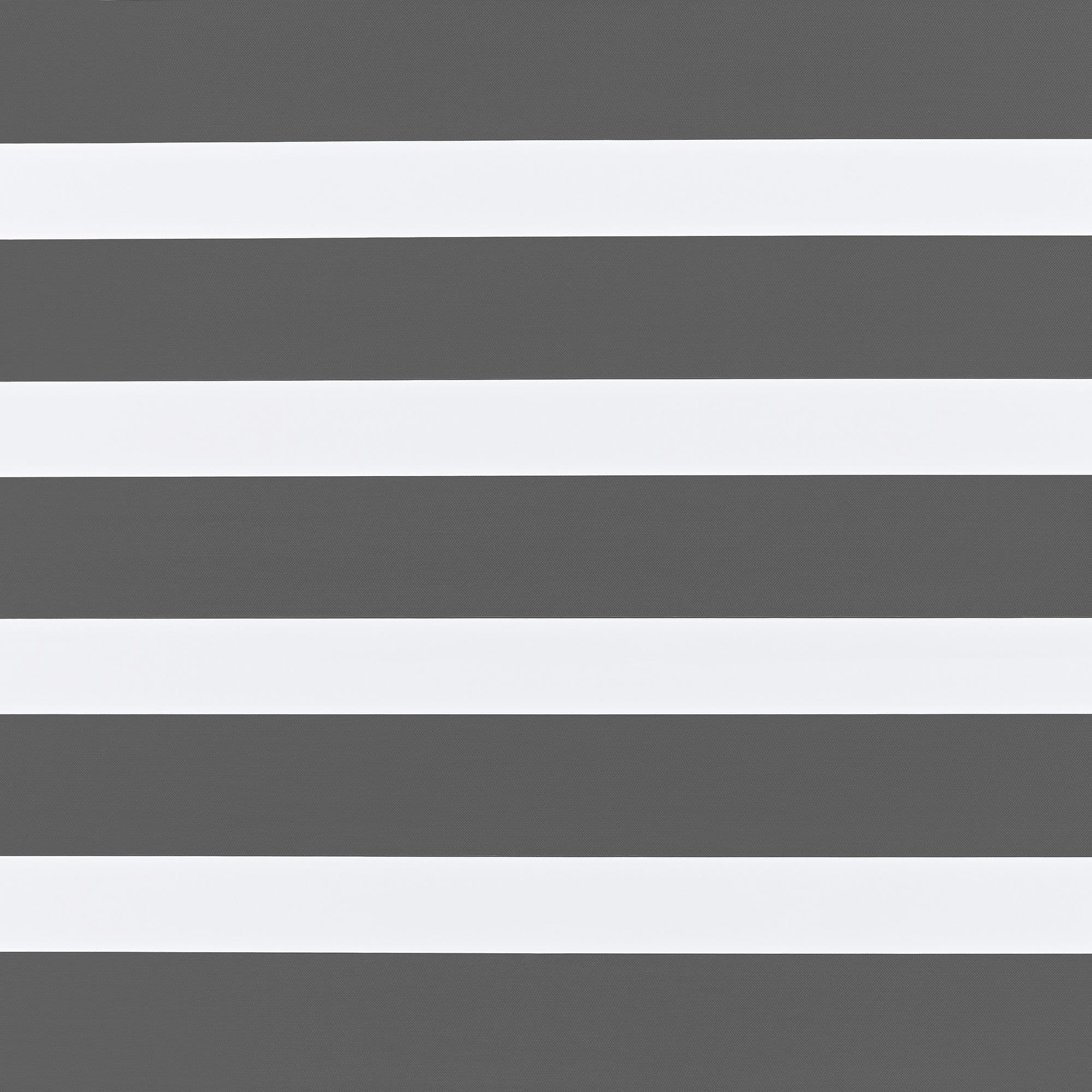 Eve Grey Day and Night Blind