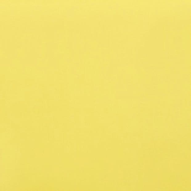 Acacia Chartreuse Conservatory Vertical Blind