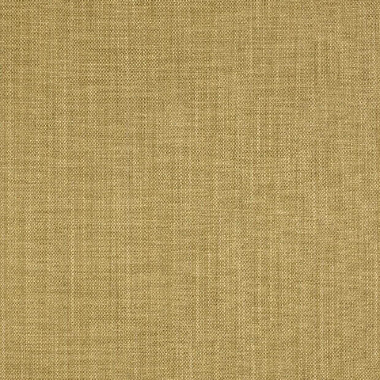 Clarence Chartreuse Roman blind