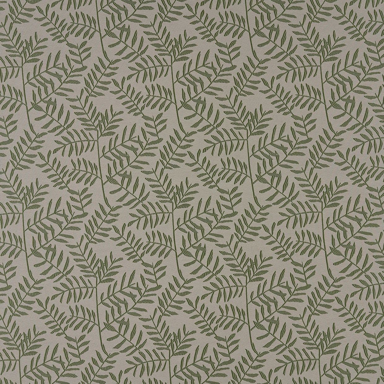 Fronds Fir Roman blind