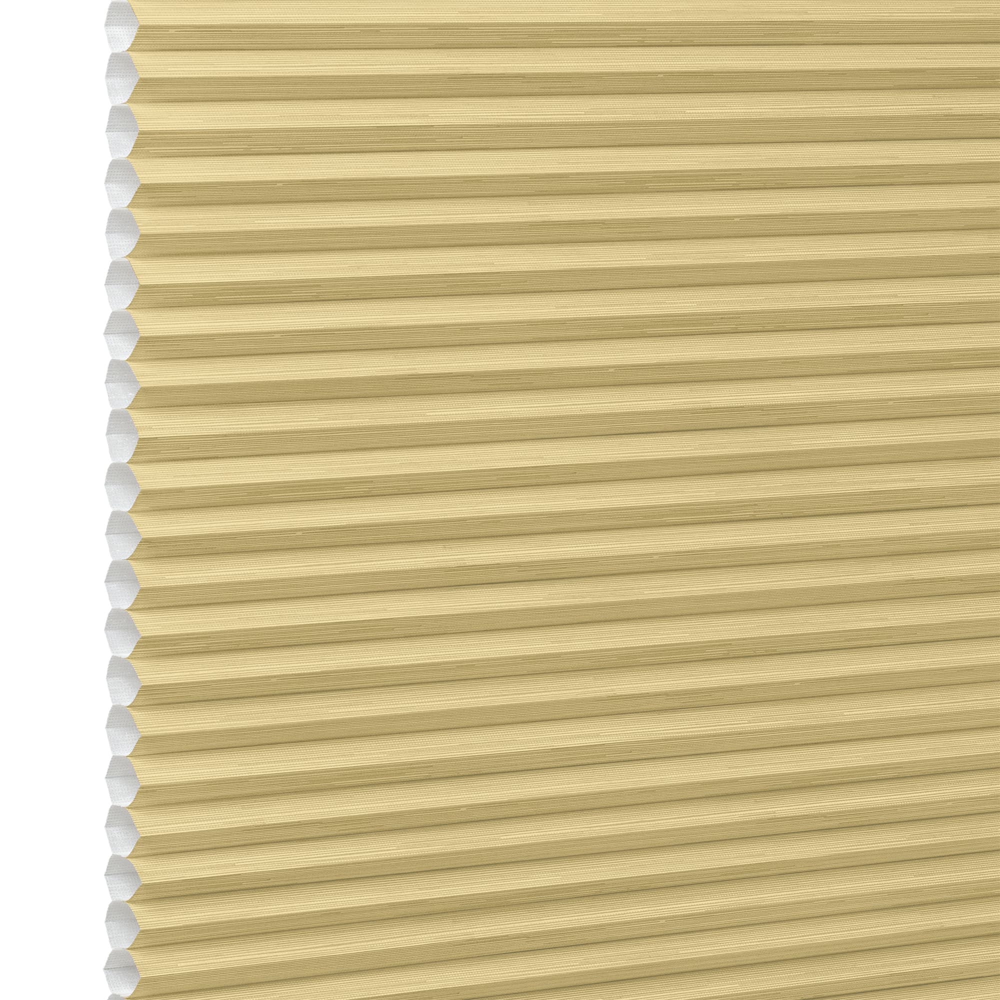 Duette PinStripe Olive Honeycomb blind