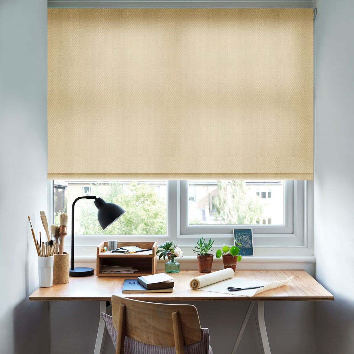 Seeds Mimosa Roller Blind