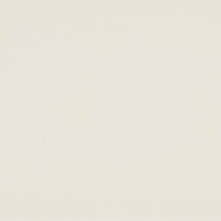 Illusions Soft Ivory Faux Wood Venetian