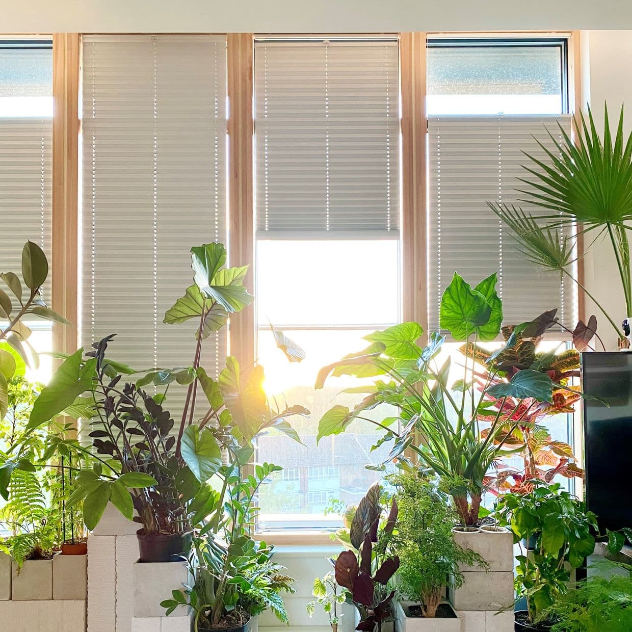 Sasso Ice Pleated Blind