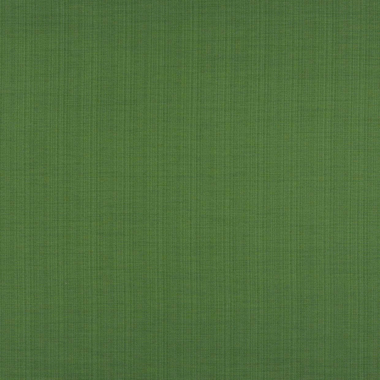 Clarence Evergreen Roman blind