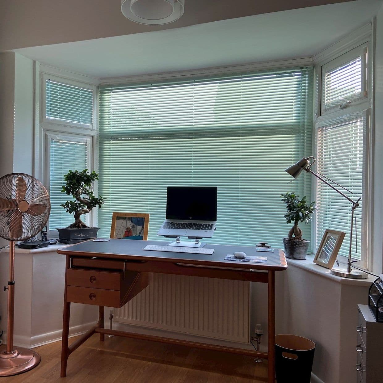 Special Finish Peppermint Venetian blind
