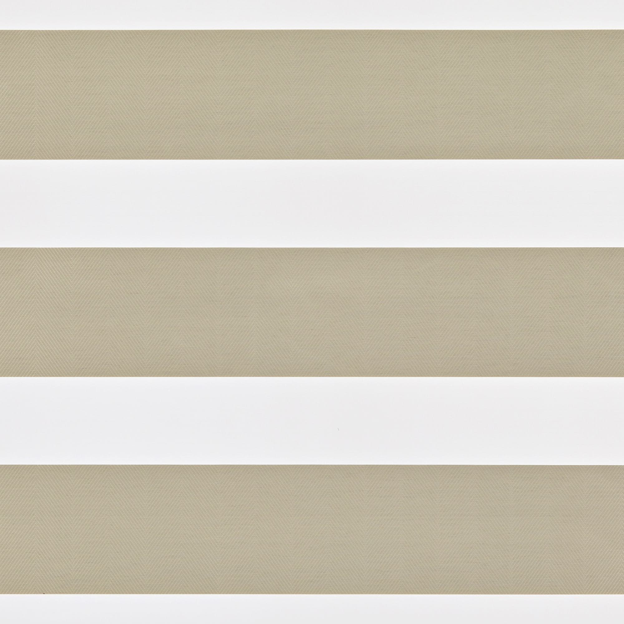 Envision Beige Day and Night Blind